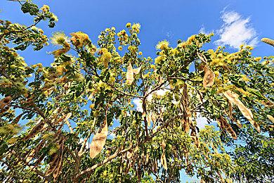 单人开发 免费求生游戏《生存之日》提供下载