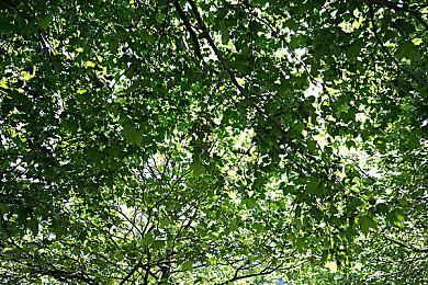 《如龙7》Steam国区价格永降 标准版从389元降至109元